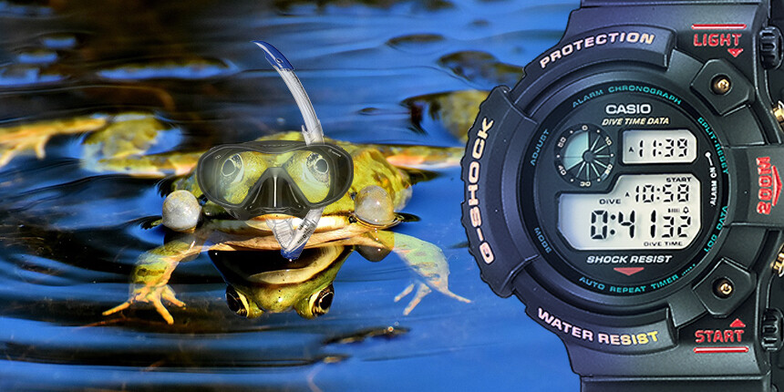 G-Shock Frogman